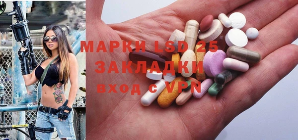 хмурый Алзамай
