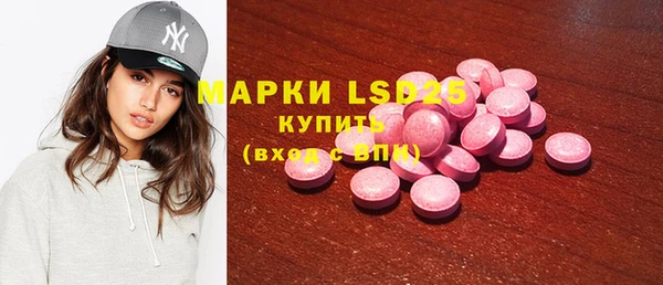 хмурый Алзамай